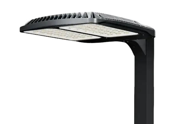 wmremove-transformed-removebg-preview-1